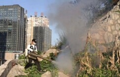 精准消杀除蚊害 鹤城区筑牢城区卫生安全防线