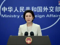 外媒披露台当局“金元外交” 外交部回应