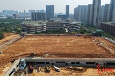 延风公园项目建设有序推进