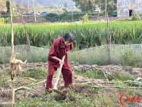 衡阳独臂老人替去世的儿子还清欠款，获评全国“诚信之星”｜湖南日报头版