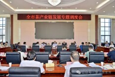 张家界市茶产业链发展专题调度会召开