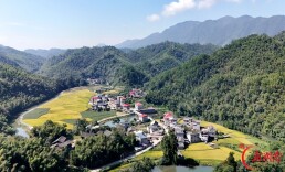 尽显乡村振兴新气象