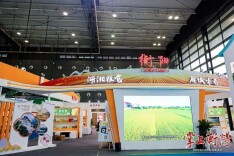 交易金额达5.05亿元！第八届中国“粮交会”衡阳产品受追捧