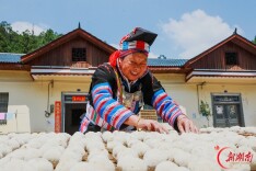 瑶乡草药酒曲助农增收