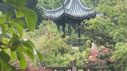 嘉诗说联丨三百年前的美学生活家，给现代人留下一付精神解药