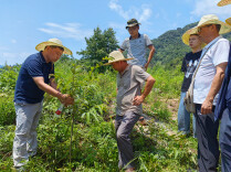 党建领航，沅陵文家坪村绘就乡村振兴新画卷