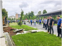 还绿于民，拆违于安，清患于未然——平江县住建局打好廉租房治理“组合拳”