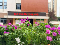 湖南湘江新区博才云时代小学：以温情告白师者，以活力致敬耕耘