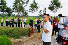 “虫口保粮”——华容县持续推进秋粮抗逆防灾暨绿色防控