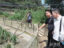 “青蛙王子”的苦与乐——记湘潭县石鼓镇歇马村养蛙能手陈滔泉