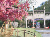 常德文旅速递 | 9月10日至13日，全国在职教师可免费畅游常德桃花源景区