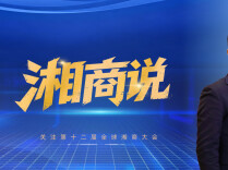 湘商说｜日本湖南企业联合会会长蒋磊： 更好助力湘商湘企对接海外市场