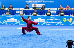 特色育人结硕果 祁东文武学校学子省运会武术套路比赛摘金