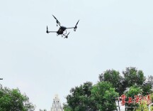 衡阳市沿江风光带事务中心精准防治高大乔木病虫害