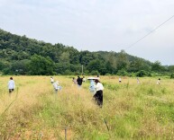 盘活资源拓销路 “村社共建”绘丰景