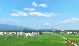 绿色田园 景美如画