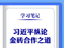 学习笔记丨习近平纵论金砖合作之道