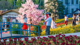城市花园秋意浓