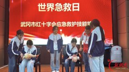 武冈红十字会走进职业中专开展应急救护培训
