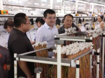 三个大抓开新局 攻坚突围奋力拼⑥ | 壮大“一优一新一特” 争当“三个大抓”排头兵——访武冈市委书记唐伟文，副书记、代市长阳敏