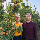梨香跨千里 湘疆一脉情