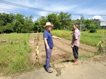 灯明溪岸稻初黄 山苍衔光百业新—株洲市直机关工委乡村振兴驻茶陵洣江街道办事处沙溪村帮扶工作纪实