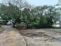 品质先锋・蝶变南城②｜拆墙增新绿 三姑嫂区域“违建”变形记