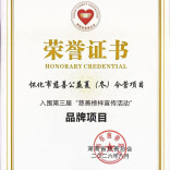 喜讯！怀化市慈善公益夏（冬）令营入围省慈善榜样品牌项目