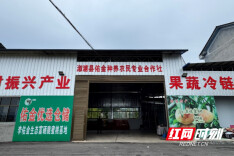 溆浦县祖师殿镇：“驻点连片”兴产业 农货直供长三角