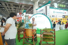 从小众到热销，永顺莓茶正在“出圈”
