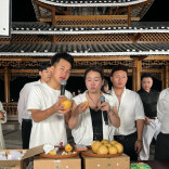 网红直播助农出实效 芷江新店坪千亩黄金梨借网出山
