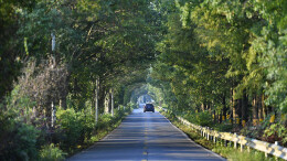 步皆美景！高白公路绘就乡村秋韵