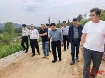 广药王老吉药业、瑞和药业赴武冈考察中药材产业