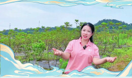 我为“村播”打call⑰ | 窑夫人潘宾华：欢迎大家来新化打卡