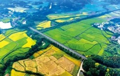 喜迎党代会·共赴新征程⑧丨 湘潭推进粮食产业高质量发展