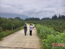 项目谋划建设季丨㉔茶香润乡野 好油富农家——欧维丽食品大健康产业园落地罗桥记