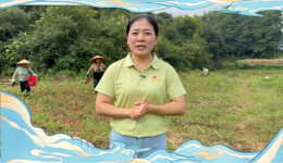 我为“村播”打call㉑ | 益阳市代表队：赛出乡村主播新风采