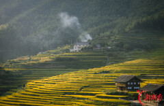 图集|梅山秋韵
