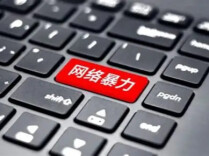 网络暴力、AI仿冒带货怎么判？最高法发布4件网络法治典型案例
