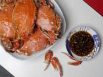 四大海域，全面开渔！（附海鲜赏味指南🦀🦞🦐🦑）