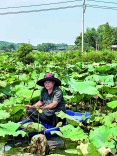 湘潭柳桥村“新农人”的增收新路径