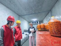 国网株洲渌口区供电公司：“全周期”供电服务呵护黄辣椒“全链”发展