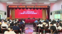 讲透区情大势 讲活基层实情——黑石铺街道“石励青帆·优苗计划”青年干部培训班开课
