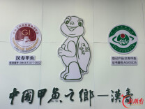 山水“湘”赠｜“双地标”护航品质，汉寿甲鱼“游”出百亿产业