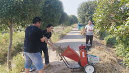 治河渡镇：菜园秸秆就地还田