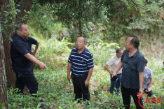 邵阳市召开国有林场现代化建设现场推进会