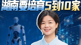 【第1招：育链主】“带头大哥”，湖南要培育5到10家丨秒懂政策