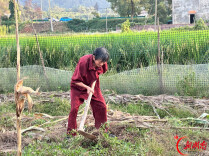 衡阳独臂老人替去世的儿子还清欠款，获评全国“诚信之星”｜湖南日报头版