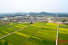 韶山银田：驻点连片闯出红绿共生共富路