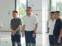 杨钦涵调研服务业重点企业
